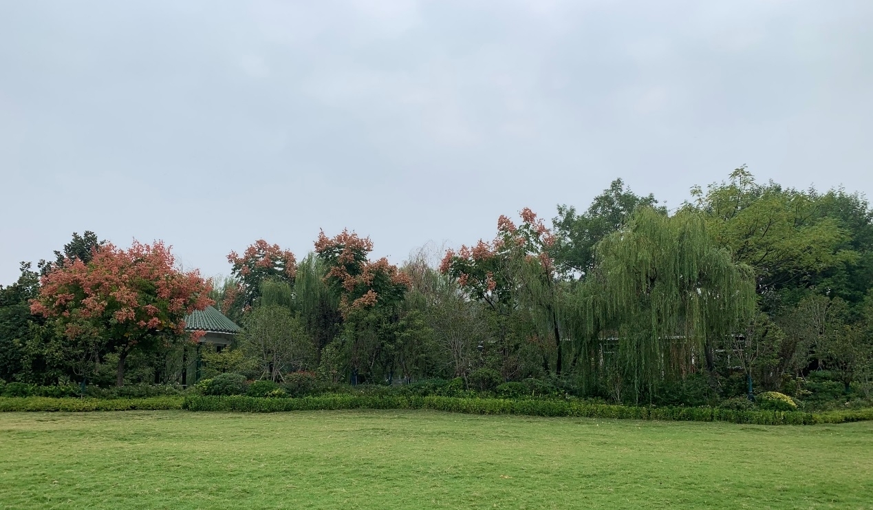 图片16.jpg