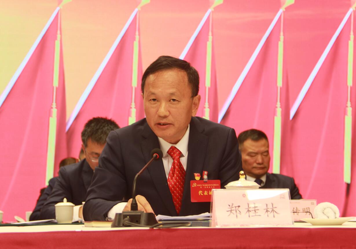 郑桂林报告代表资格审查情况.jpg