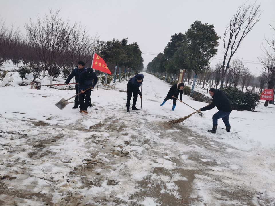 生态环境公司.jpg