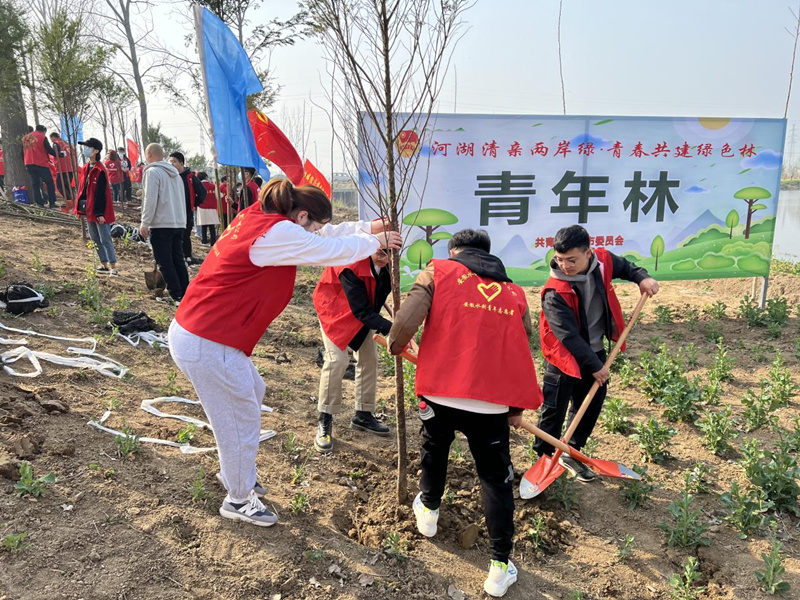 图片 2_副本.jpg