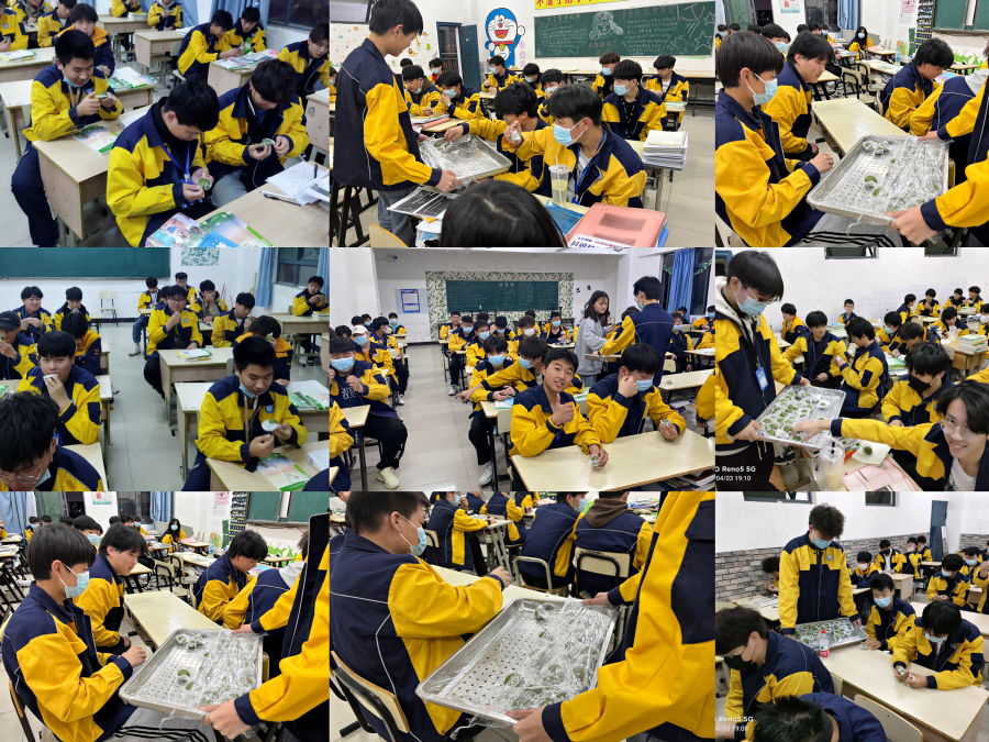 pt2022_04_04_19_20_42_编辑.jpg